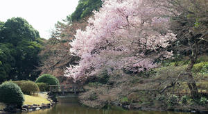 20100324_80shuusei.jpg