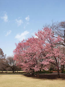 20100324_88shuusei.jpg