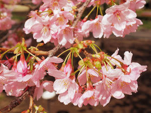 20100324_93shuusei.jpg
