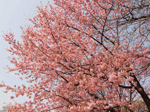 20100324_108shuusei.jpg