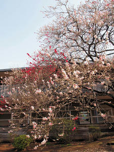 20100324_61shuusei.jpg