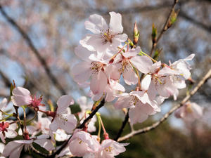 20100324_58shuusei.jpg