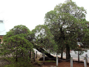 20100327_30shuusei.jpg