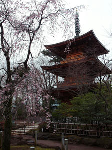 20100327_50shuusei.jpg