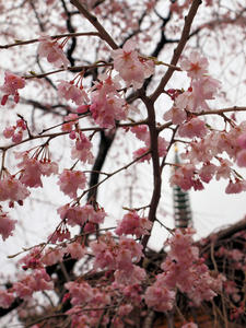 20100327_19shuusei.jpg