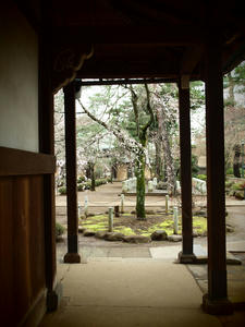 20100327_47shuusei.jpg