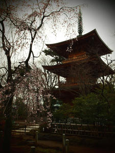 20100327_51shuusei.jpg