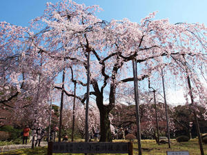 20100327_60shuusei.jpg