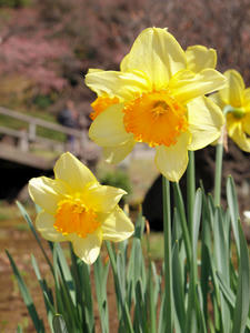 20100327_117shuusei.jpg