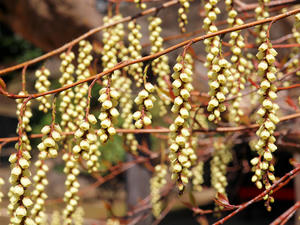 20100327_158shuusei.jpg