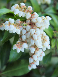 20100327_185shuusei.jpg