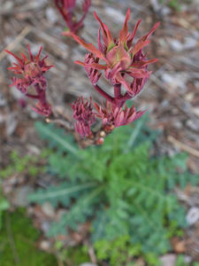 20100327_188shuusei.jpg