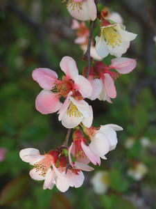 20100327_199shuusei.jpg