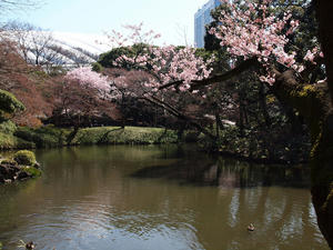 20100327_162shuusei.jpg