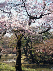 20100327_168shuusei.jpg