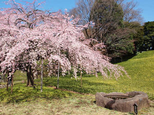 20100327_105shuusei.jpg