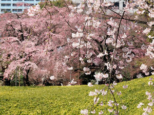 20100327_150shuusei.jpg