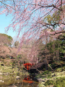 20100327_97shuusei.jpg