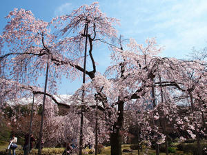 20100327_241shuusei.jpg