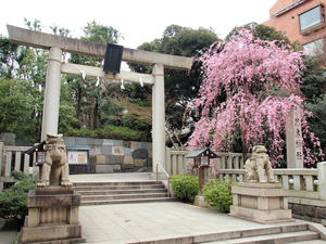 20100328_2shuusei.jpg