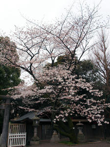 20100328_34shuusei.jpg