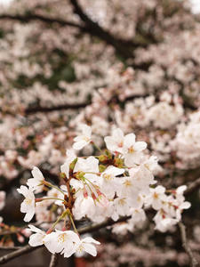 20100328_36shuusei.jpg