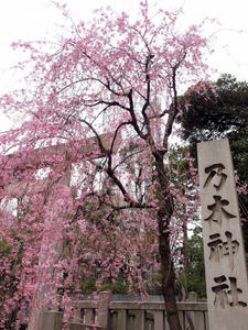 20100328_87shuusei.jpg