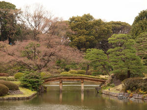 20100328_214shuusei.jpg