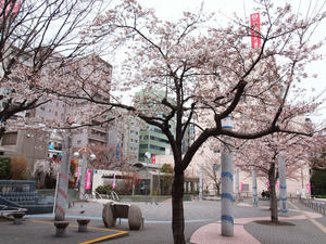 20100328_274shuusei.jpg