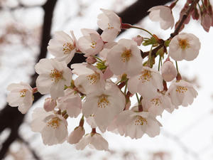 20100328_280shuusei.jpg
