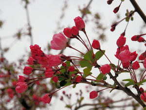 20100328_285shuusei.jpg
