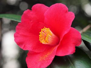 20100328_264shuusei.jpg