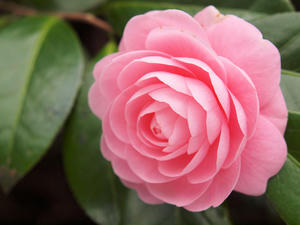 20100328_262shuusei.jpg