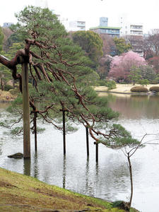 20100328_247shuusei.jpg