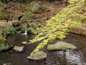 20100328_237shuusei.jpg