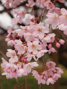 20100328_155shuusei.jpg