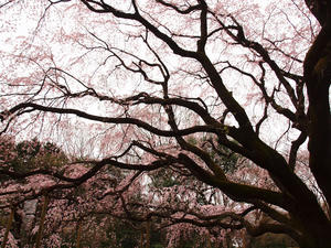 20100328_158shuusei.jpg