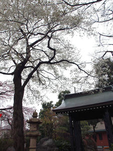 20100328_307shuusei.jpg