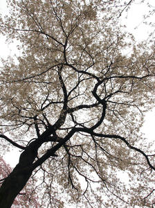 20100328_303shuusei.jpg