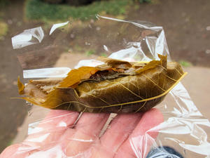 20100328_361shuusei.jpg