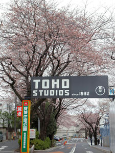 20100328_370shuusei.jpg