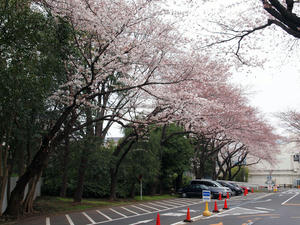 20100328_373shuusei.jpg
