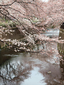 20100328_382shuusei.jpg
