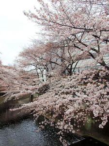 20100328_384shuusei.jpg
