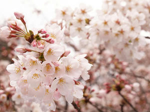 20100328_397shusei.jpg