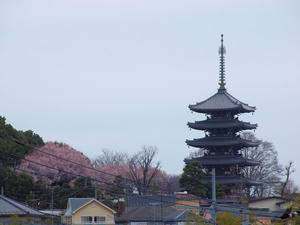 20100328_423shuusei.jpg