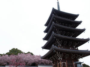 20100328_429shuusei.jpg