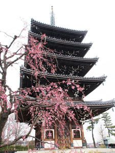 20100328_435shuusei.jpg