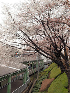 20100328_524shuusei.jpg