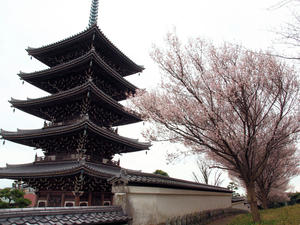 20100328_452shuusei.jpg